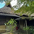 IMG_6995.JPG