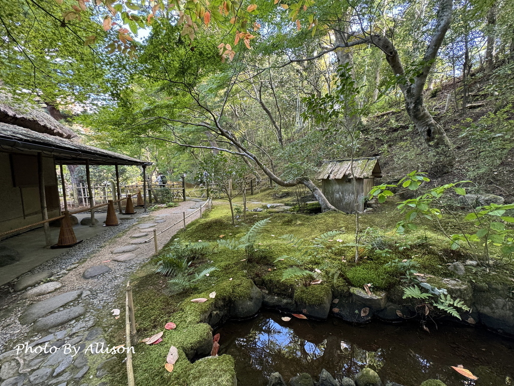 －＞2024奈良賞楓 －走進Yoshikien Garden