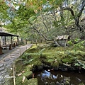 IMG_6997.JPG