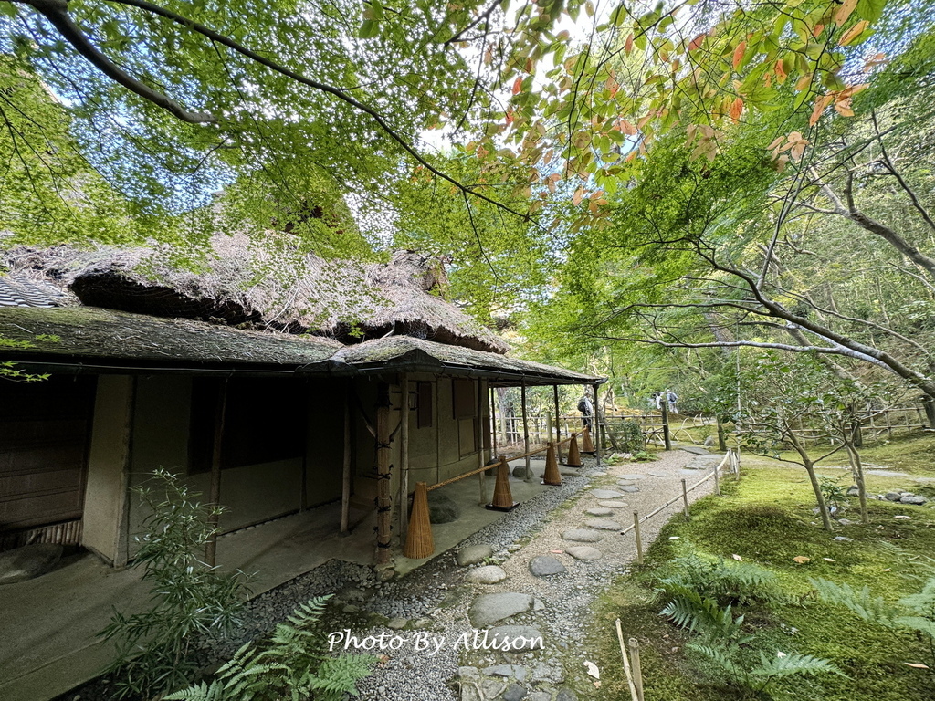 －＞2024奈良賞楓 －走進Yoshikien Garden