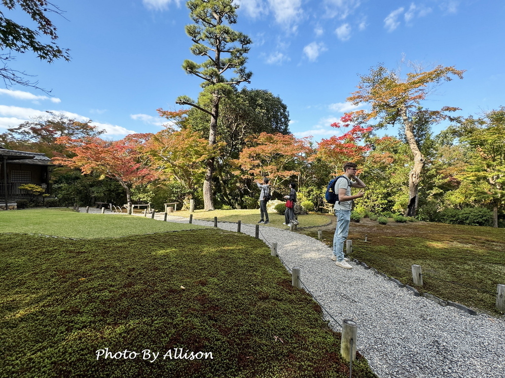 －＞2024奈良賞楓 －走進Yoshikien Garden