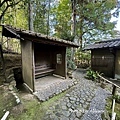IMG_6996.JPG