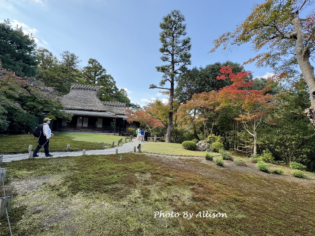 －＞2024奈良賞楓 －走進Yoshikien Garden