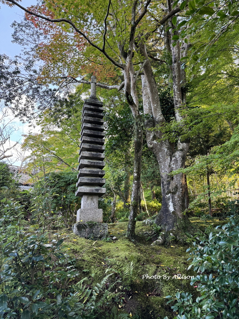 －＞2024奈良賞楓 －走進Yoshikien Garden