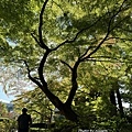 IMG_7015.JPG