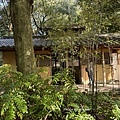 IMG_7019.JPG