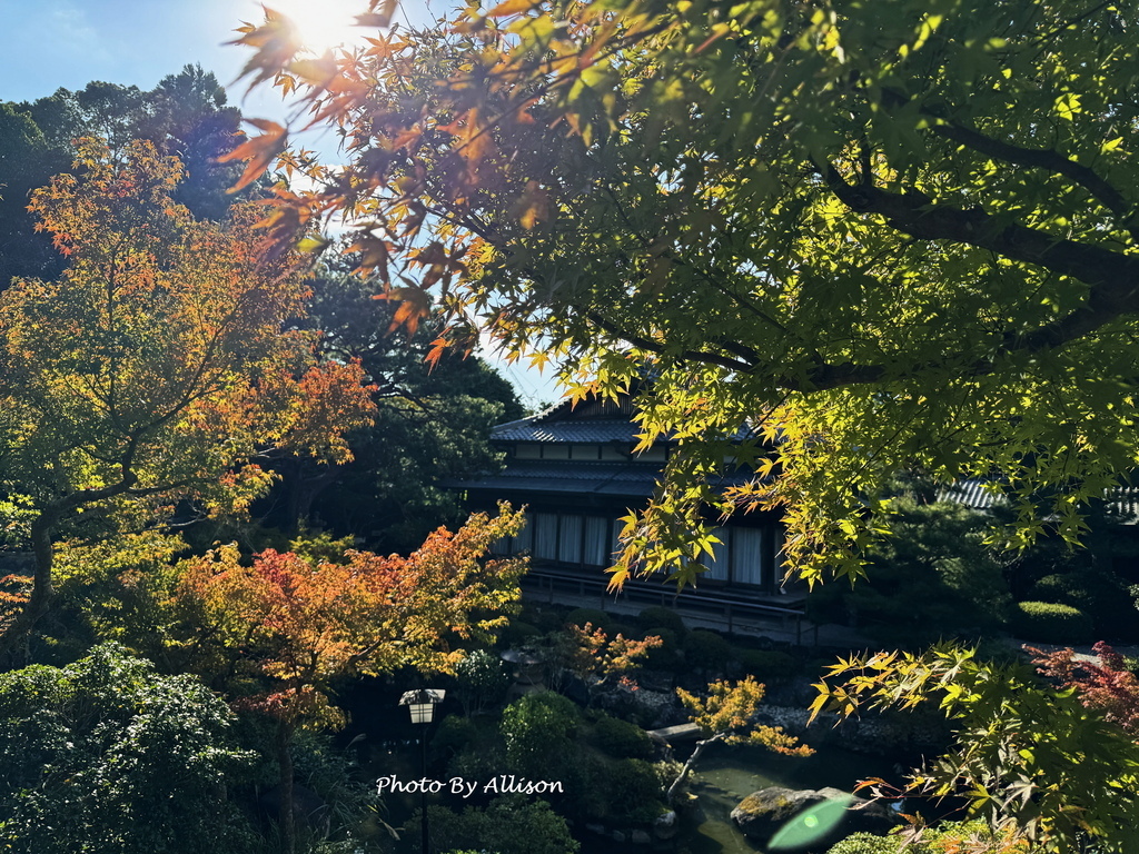－＞2024奈良賞楓 －走進Yoshikien Garden