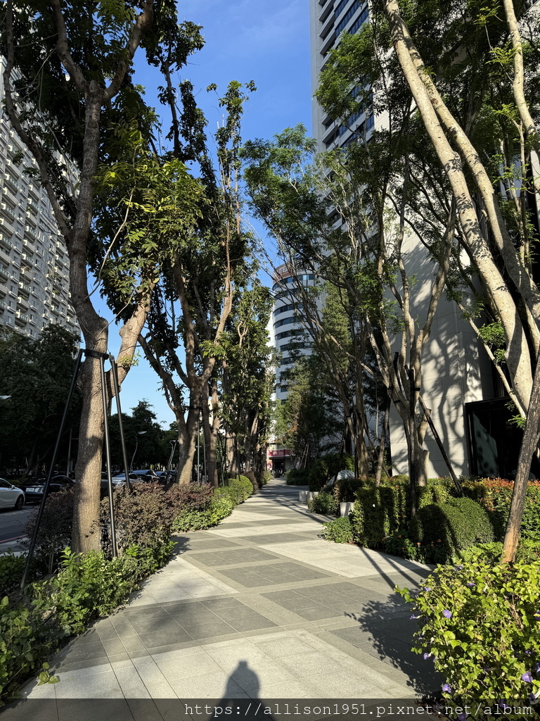 －＞蔦屋書店台中老佛爺店新開幕踩點： 180坪閱讀X藝術X社