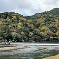 IMG_9772.JPG