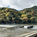 IMG_9784.JPG