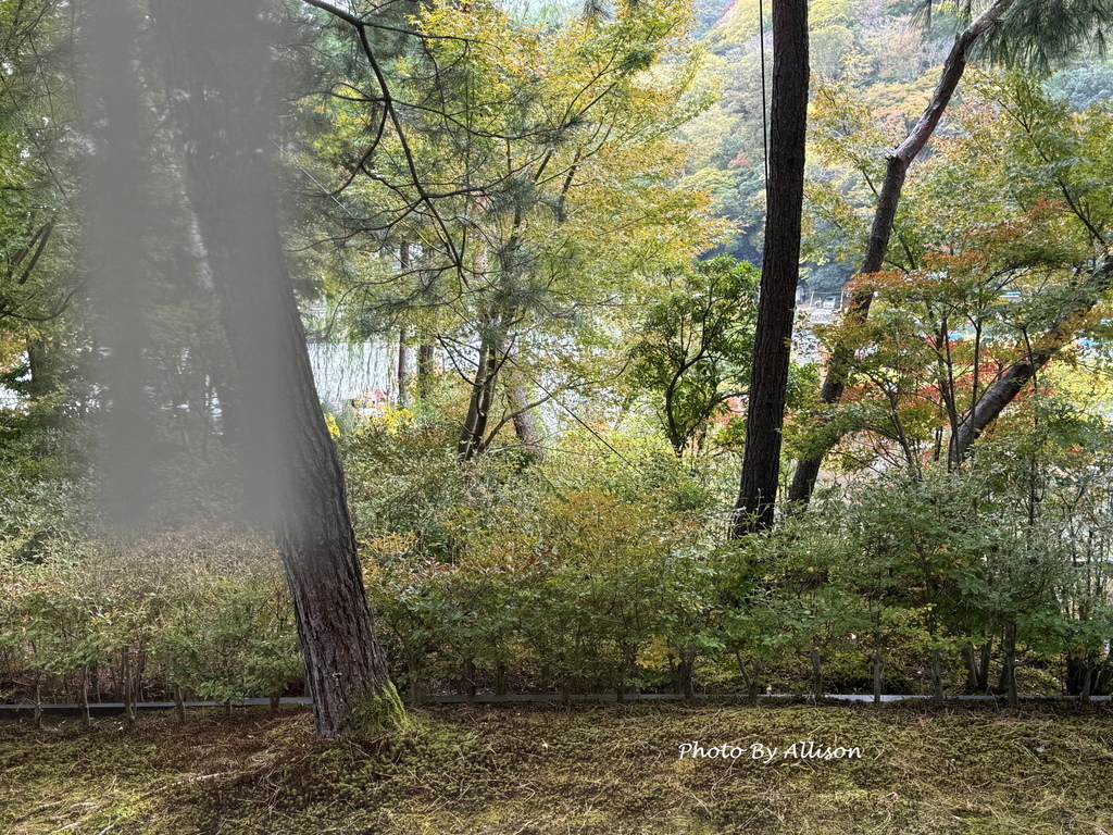 －＞京都 福田美術館 +水中鏡庭園咖啡館－幸遇「五週年若沖超
