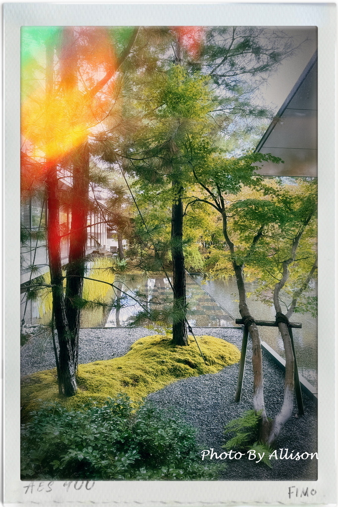 －＞京都 福田美術館 +水中鏡庭園咖啡館－幸遇「五週年若沖超