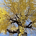 IMG_7781.JPG