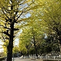 IMG_7830.JPG