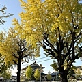IMG_7876.JPG