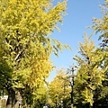 IMG_7879.JPG