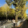 IMG_8195.JPG