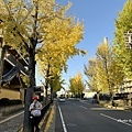 IMG_8234.JPG