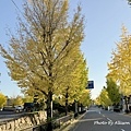 IMG_8245.JPG