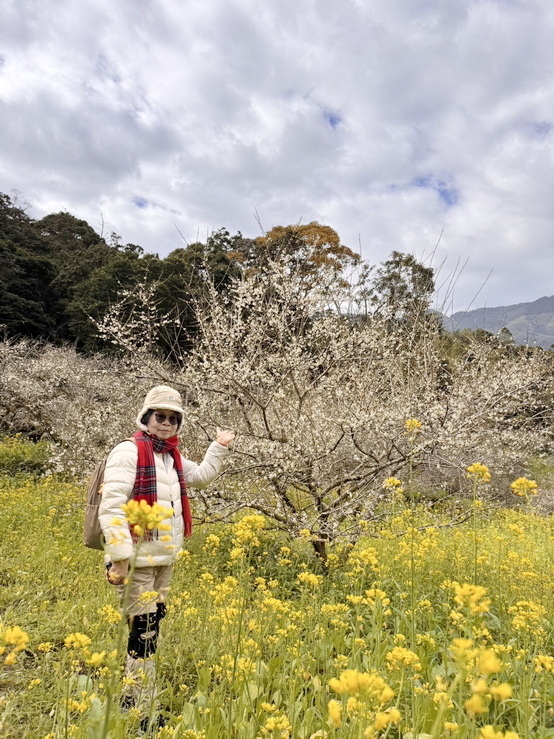 －＞南投信義鄉梅花開了…搶先看；烏松崙石家梅園+牛稠坑咖啡驛