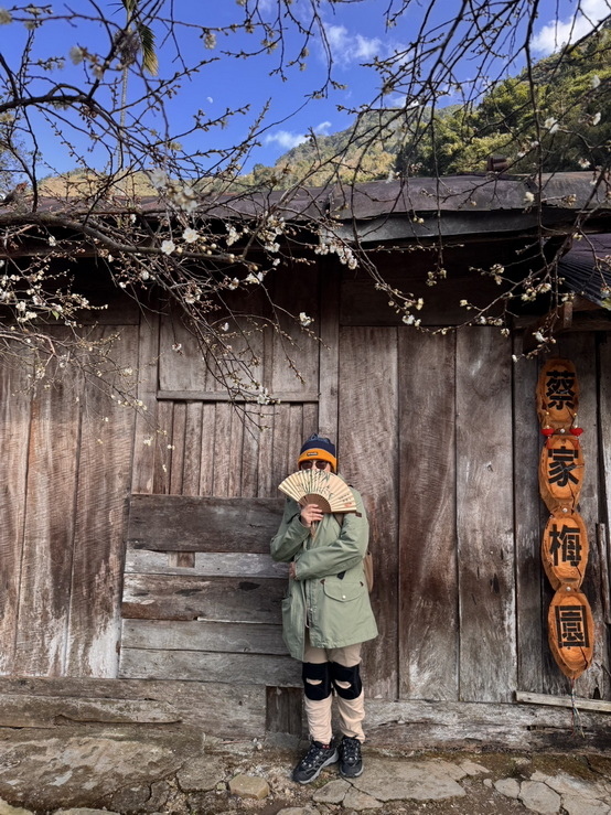 －＞南投信義鄉梅花開了…搶先看；烏松崙石家梅園+牛稠坑咖啡驛