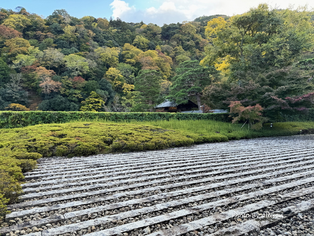 －＞嵯峨嵐山文華館： 百人一首常設展+松尾芭蕉和與謝蕪村畫展