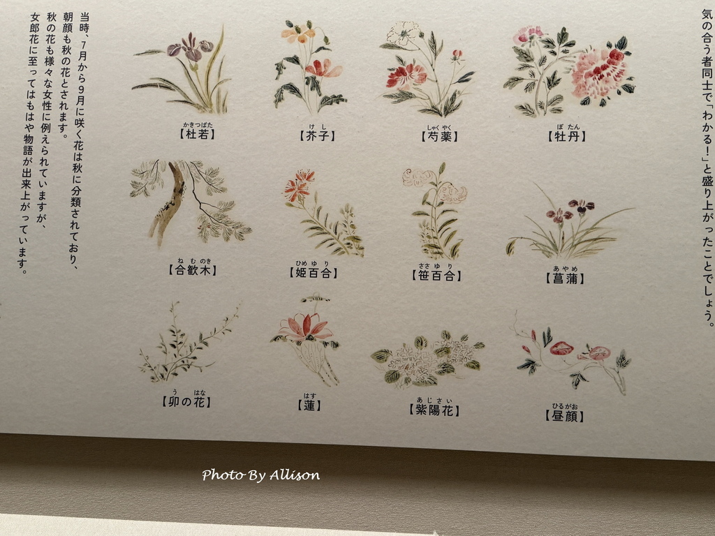 －＞嵯峨嵐山文華館： 百人一首常設展+松尾芭蕉和與謝蕪村畫展
