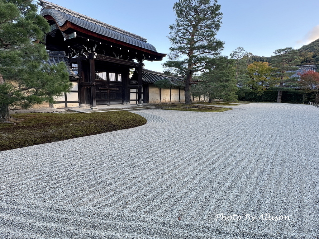 －＞京都嵐山   天龍寺 (20241118)