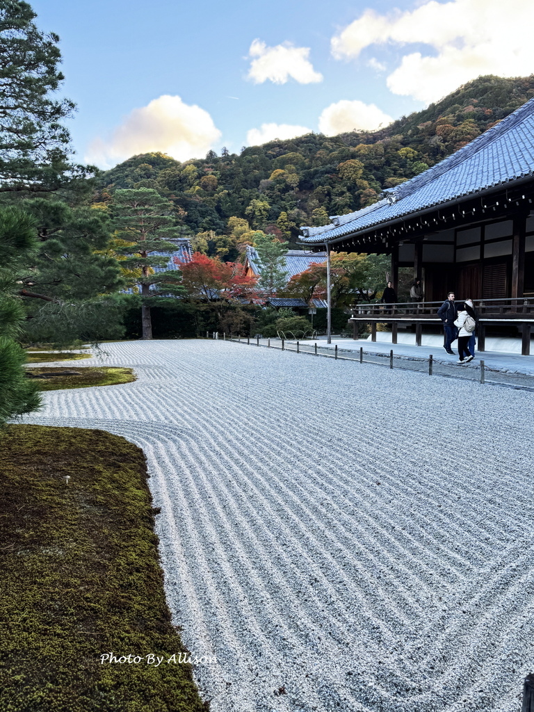 －＞京都嵐山   天龍寺 (20241118)