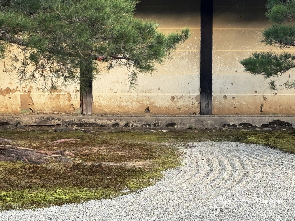 －＞京都嵐山   天龍寺 (20241118)
