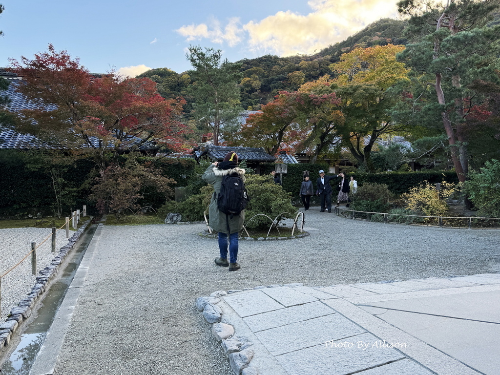 －＞京都嵐山   天龍寺 (20241118)