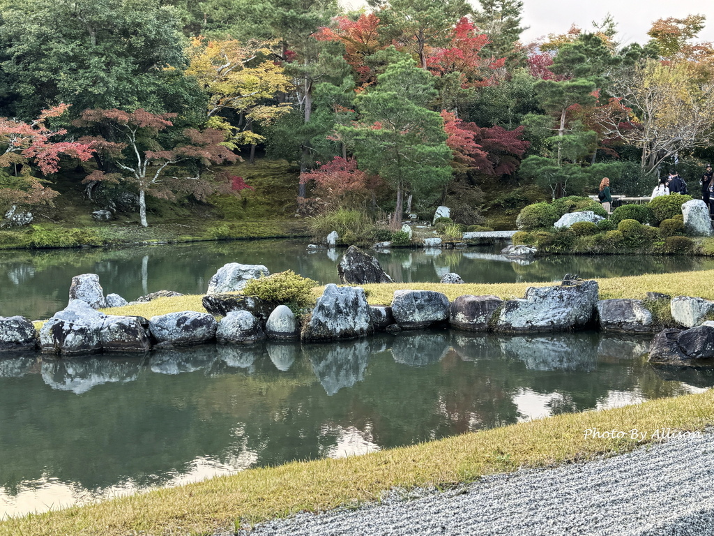 －＞京都嵐山   天龍寺 (20241118)