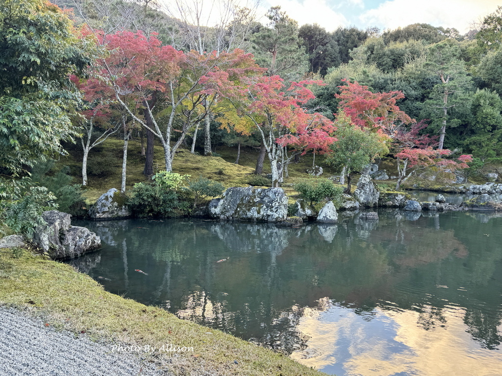 －＞京都嵐山   天龍寺 (20241118)