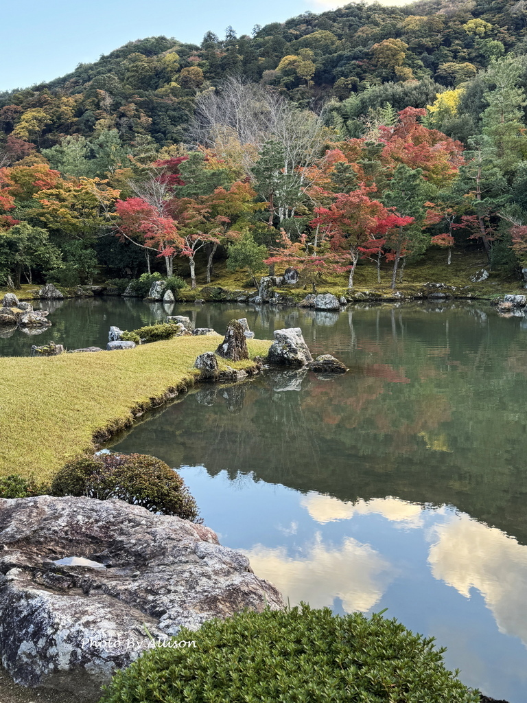 －＞京都嵐山   天龍寺 (20241118)