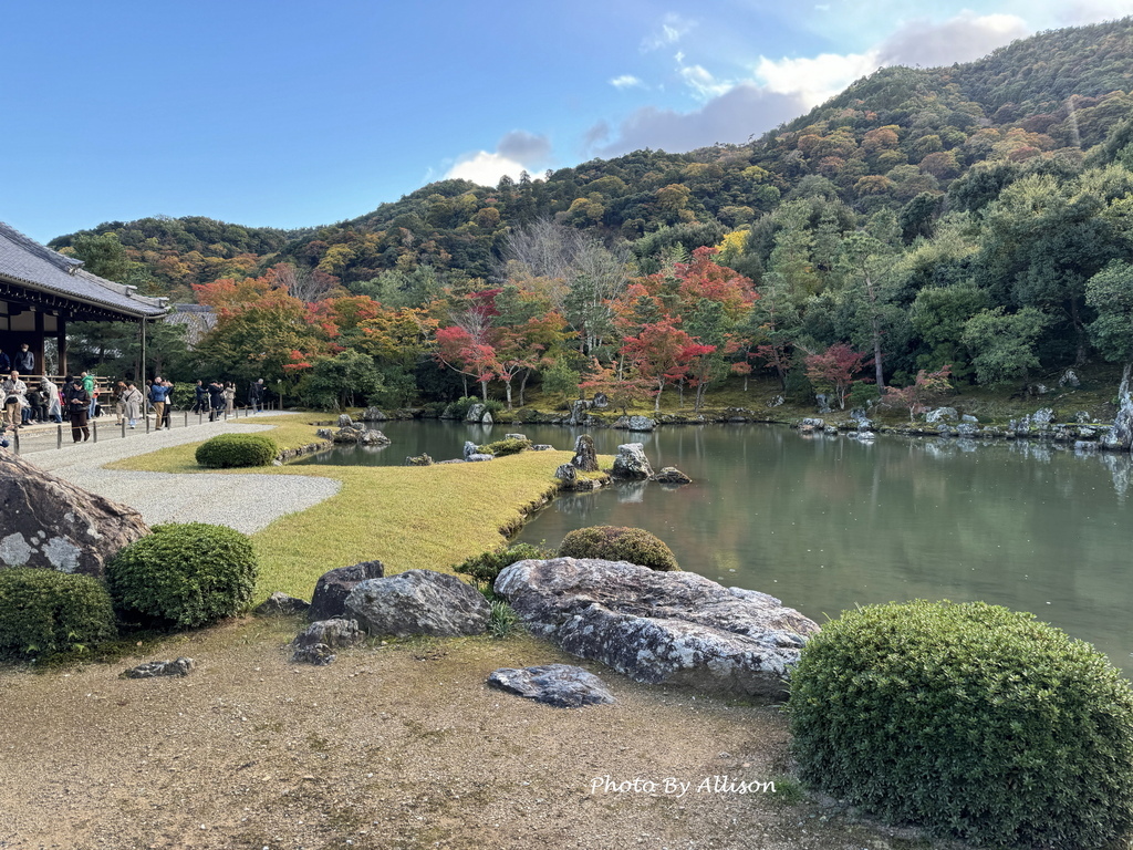 －＞京都嵐山   天龍寺 (20241118)