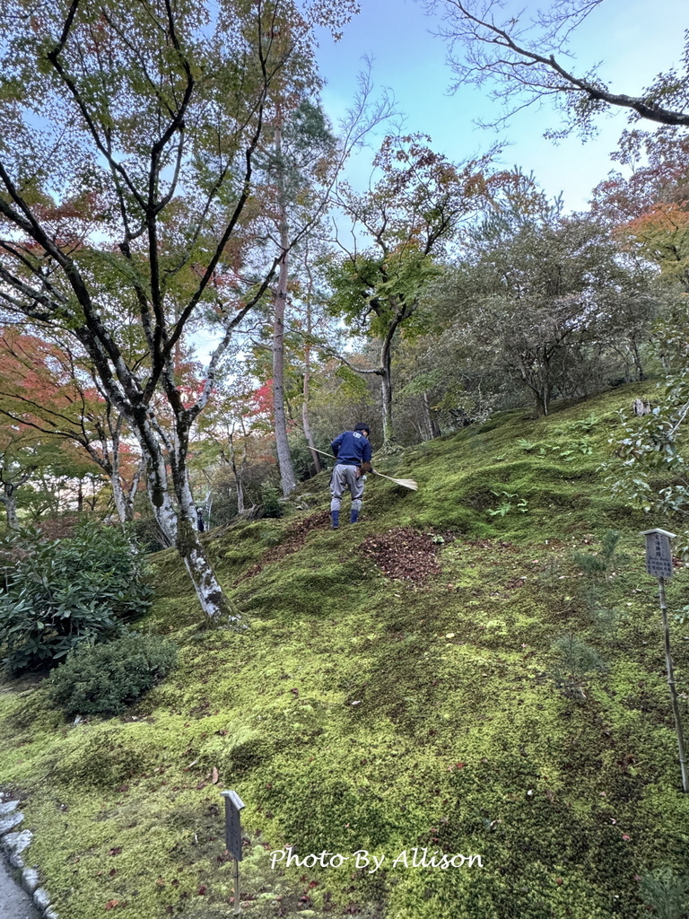 －＞京都嵐山   天龍寺 (20241118)