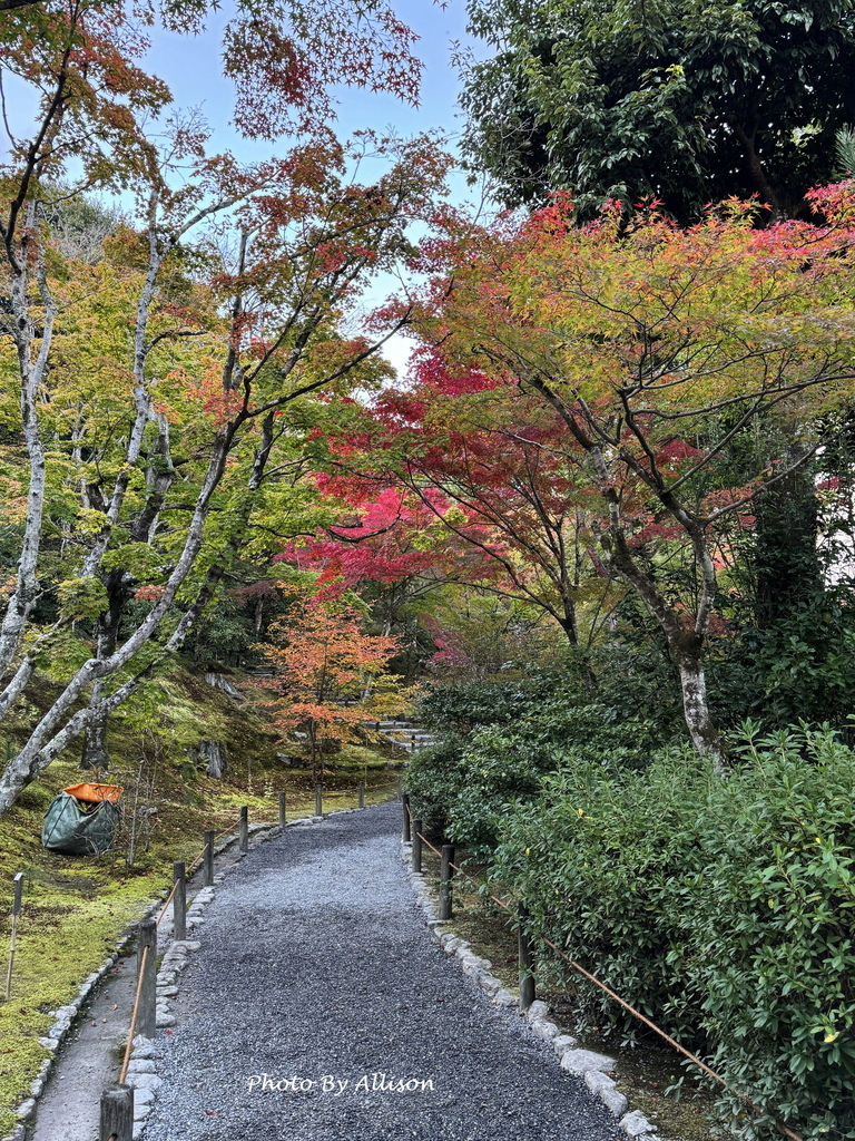 －＞京都嵐山   天龍寺 (20241118)