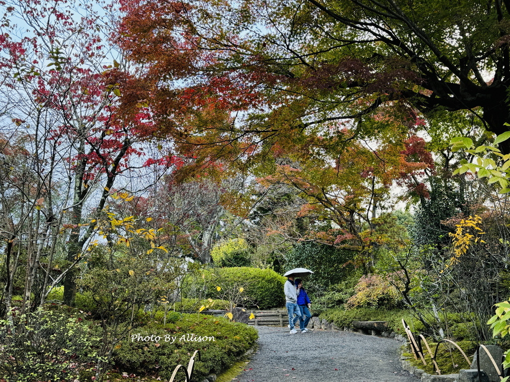 －＞京都嵐山   天龍寺 (20241118)
