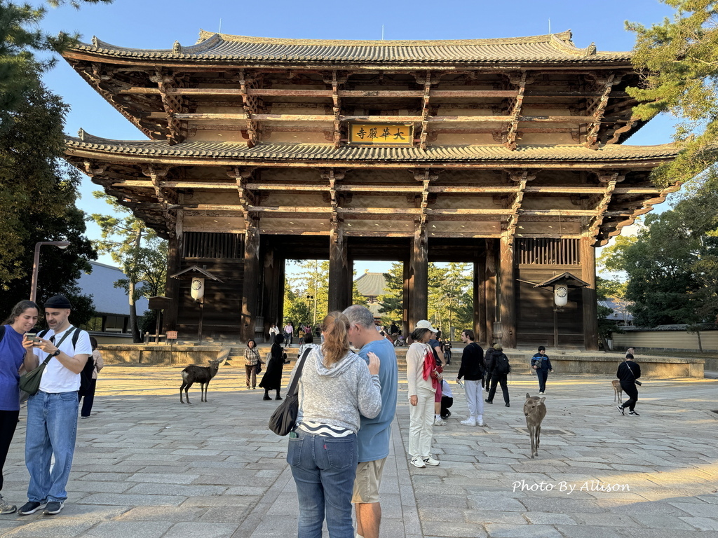 －＞奈良 東大寺  (20241112 日本京都 奈良賞楓)