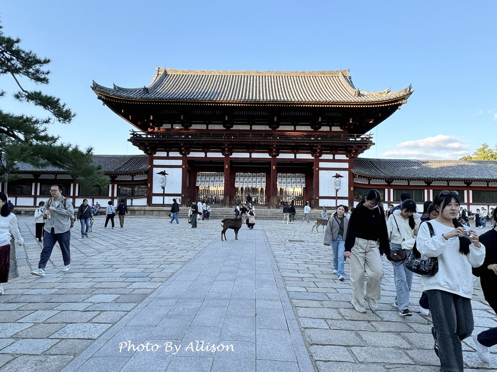－＞奈良 東大寺  (20241112 日本京都 奈良賞楓)