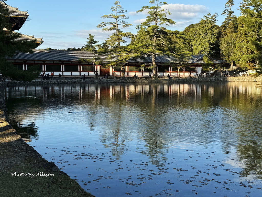 －＞奈良 東大寺  (20241112 日本京都 奈良賞楓)