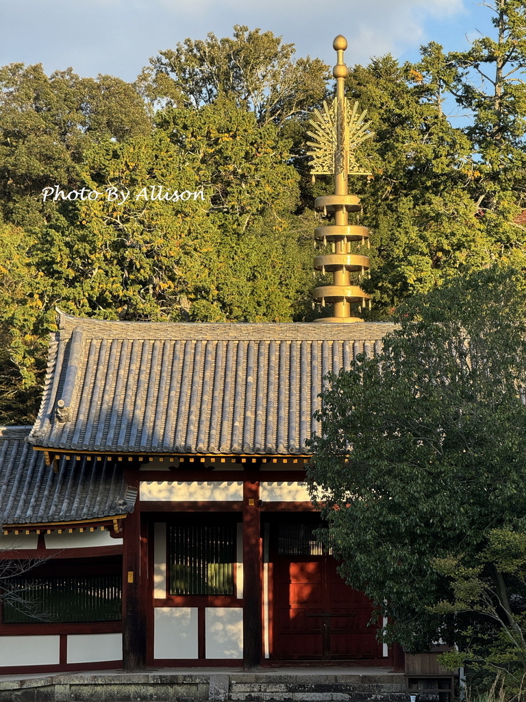 －＞奈良 東大寺  (20241112 日本京都 奈良賞楓)