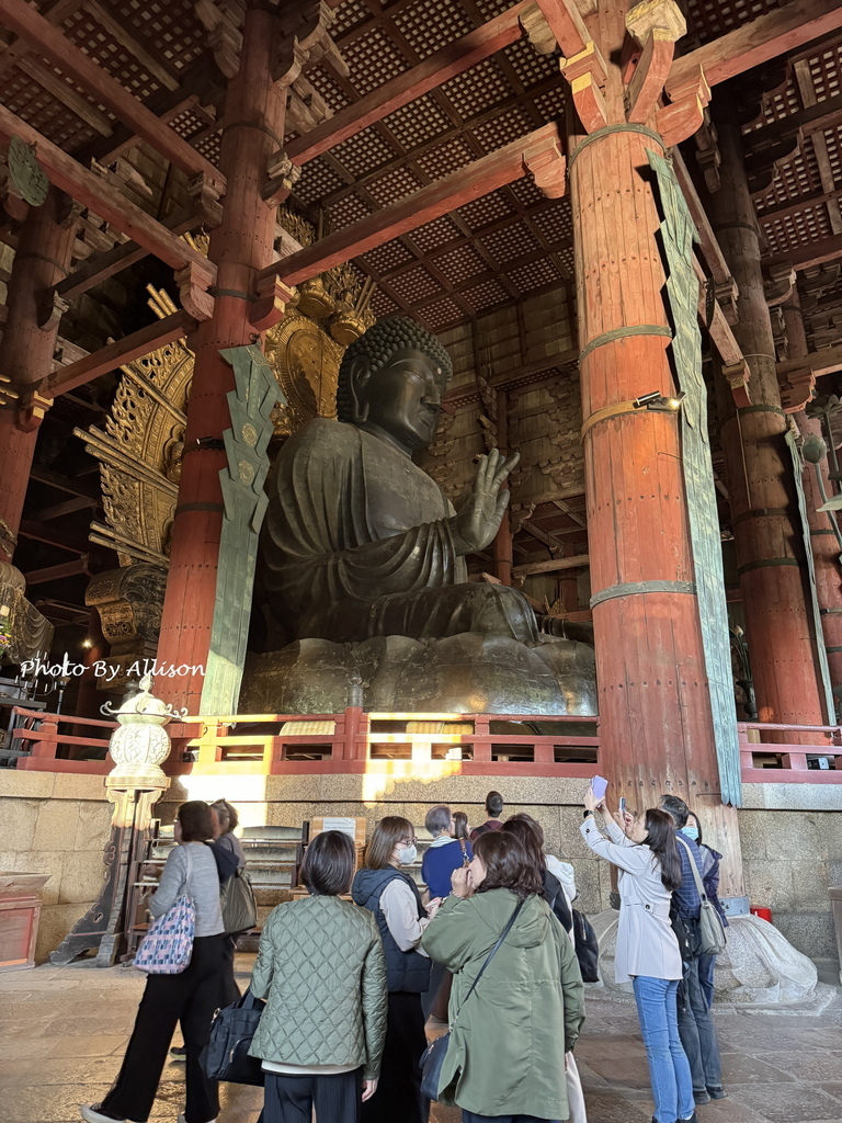 －＞奈良 東大寺  (20241112 日本京都 奈良賞楓)