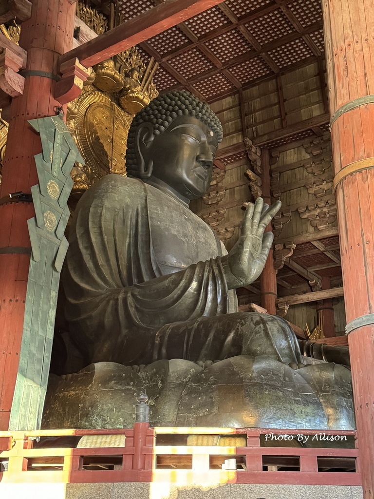 －＞奈良 東大寺  (20241112 日本京都 奈良賞楓)