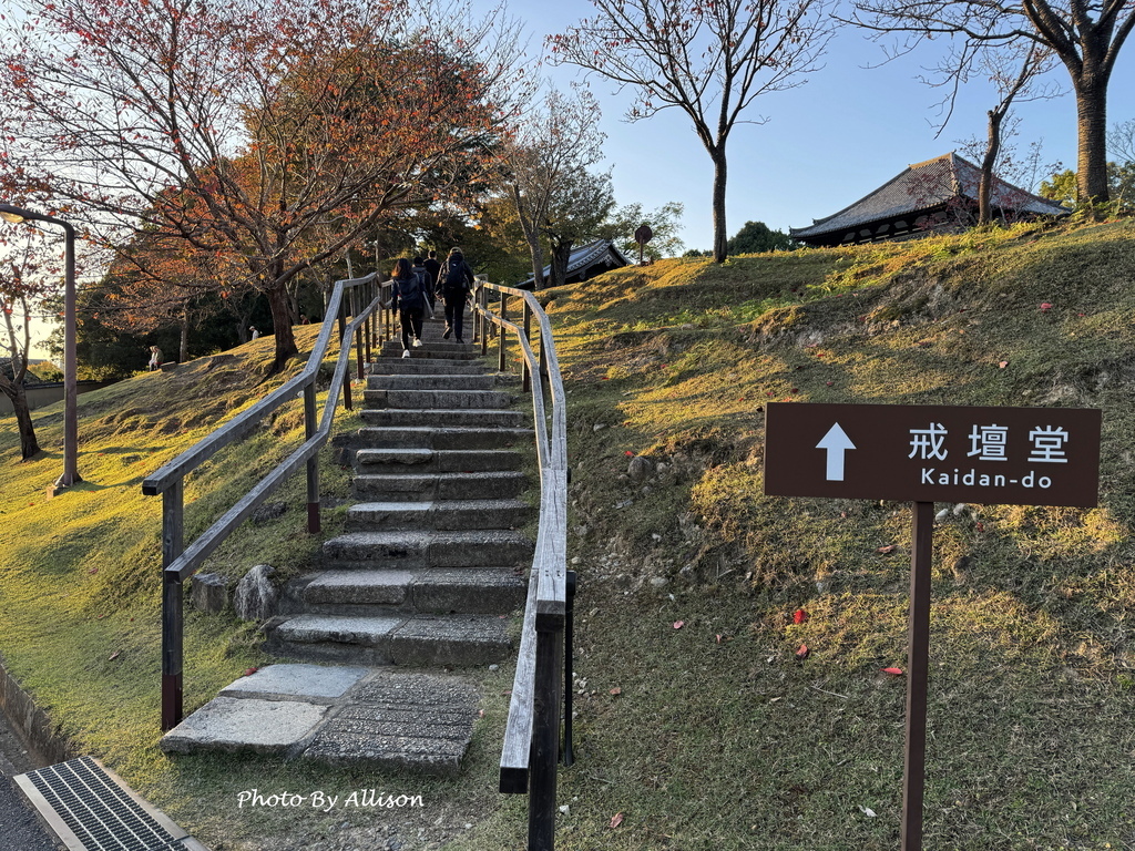 －＞奈良 東大寺  (20241112 日本京都 奈良賞楓)