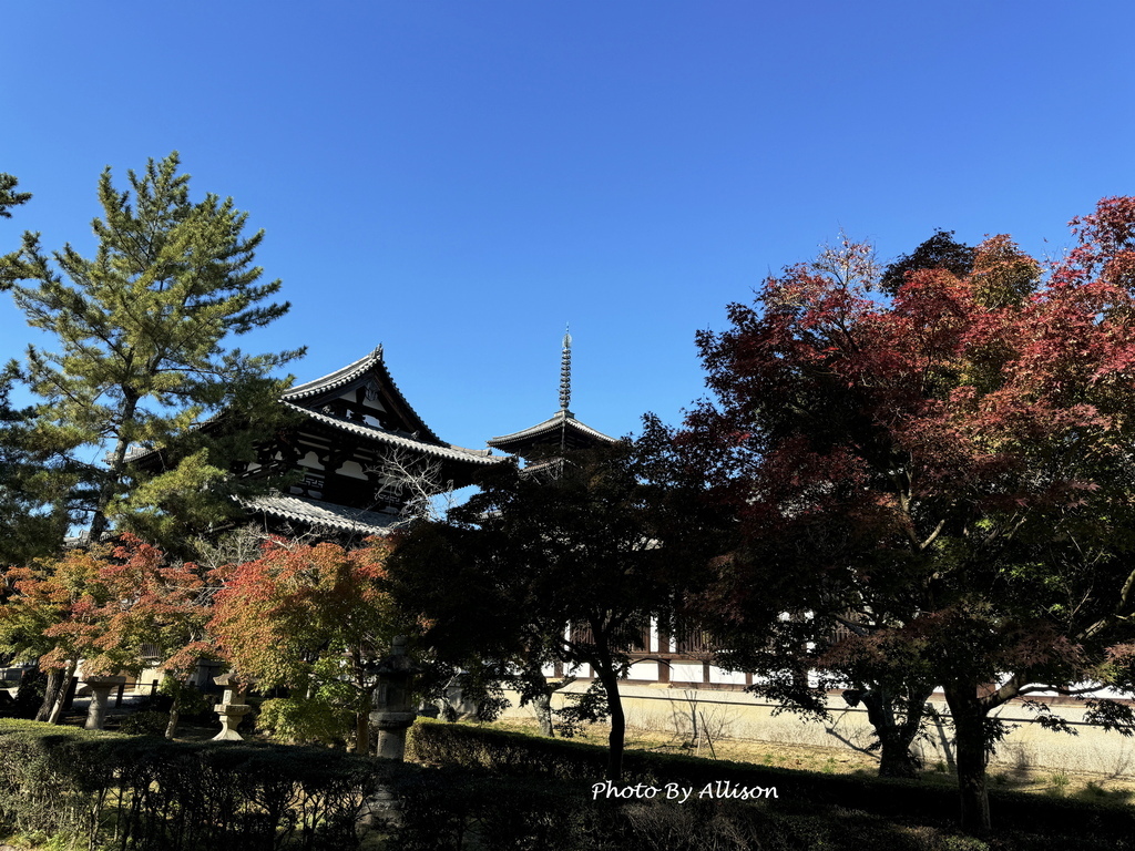 －＞奈良  法隆寺 +中宮寺 +法起寺 (法隆寺篇 )