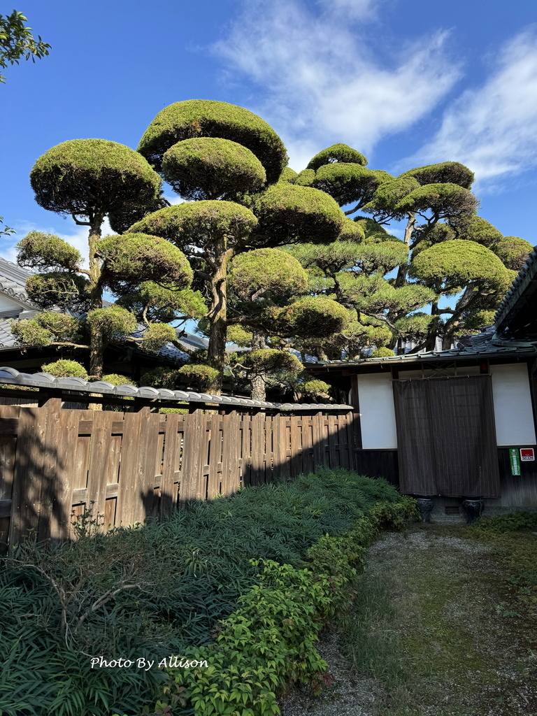 －＞奈良賞楓--飄浮在水上的中宮寺 + 擁有日本最古老的三重