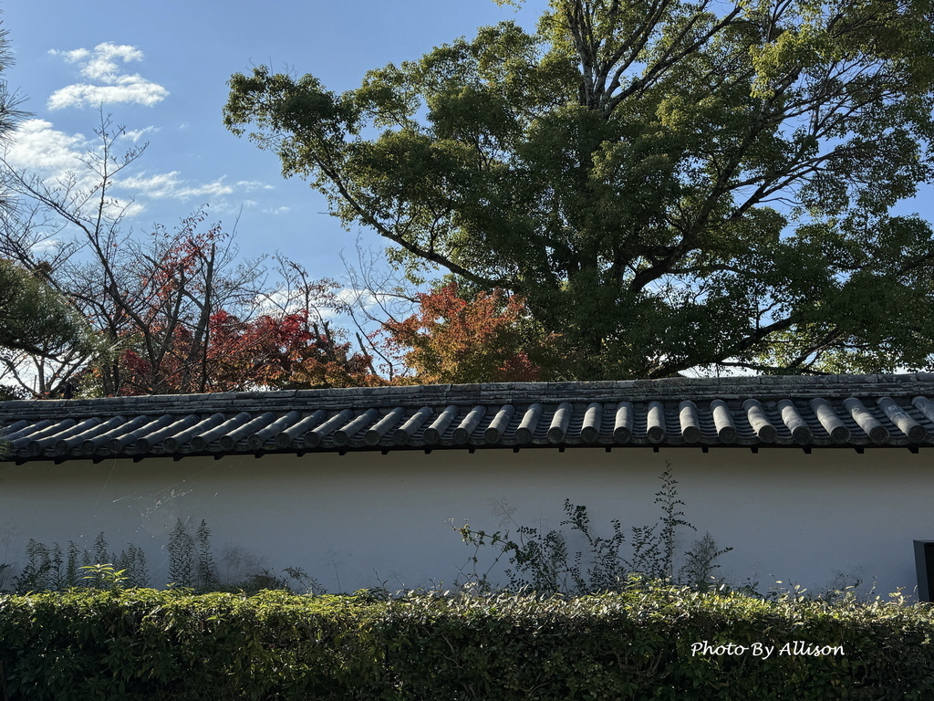 －＞奈良賞楓--飄浮在水上的中宮寺 + 擁有日本最古老的三重
