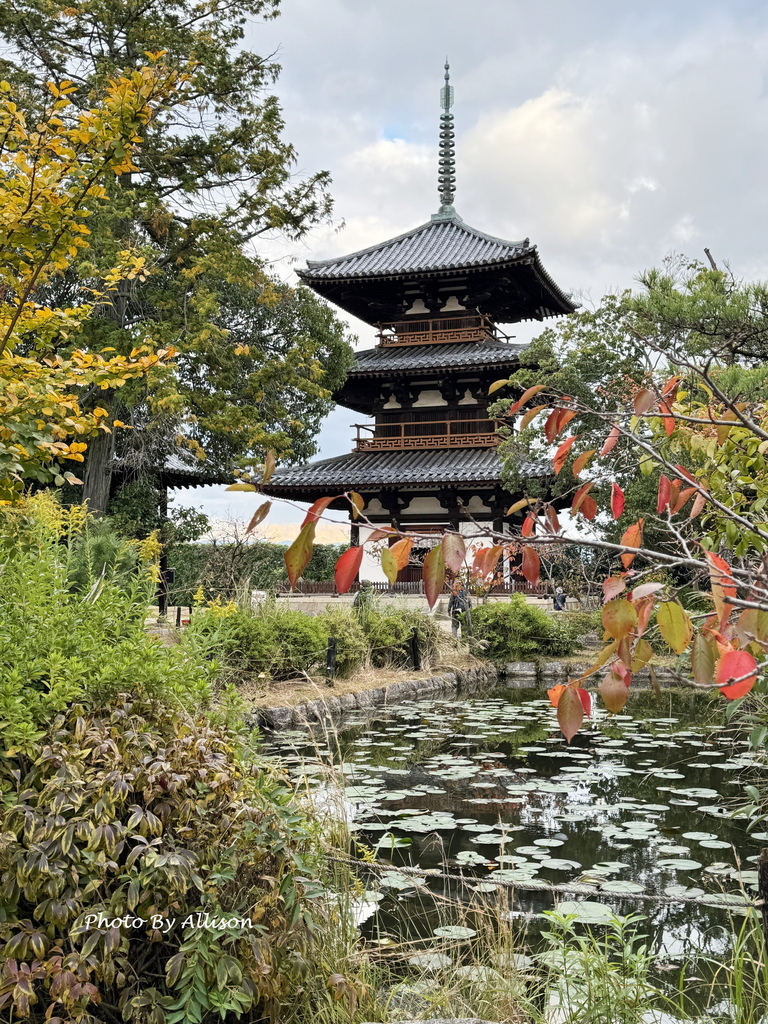 －＞奈良賞楓--飄浮在水上的中宮寺 + 擁有日本最古老的三重