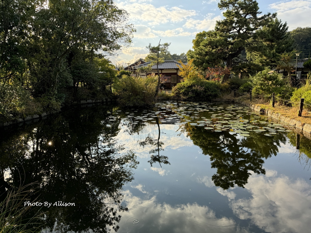 －＞奈良賞楓--飄浮在水上的中宮寺 + 擁有日本最古老的三重